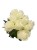 KRP183 bialy2.jpg