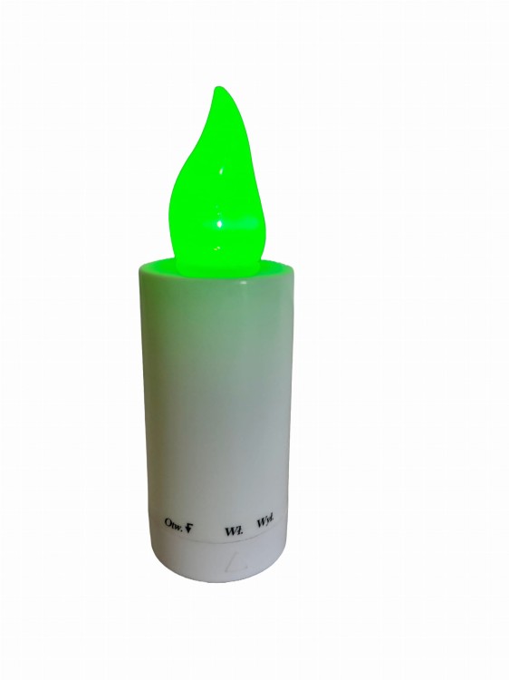 WDGL kameleon2.jpg