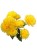 BCH71.jpg
