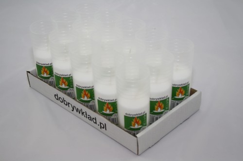 P100.JPG