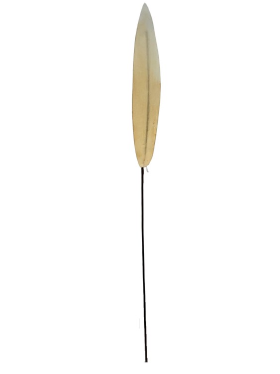 KPLI krem3.jpg