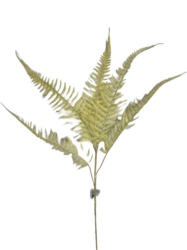 GALP69 krem1.jpg