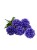 BCH795 niebieski.jpg