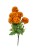 BCH795 pomarancz1.jpg