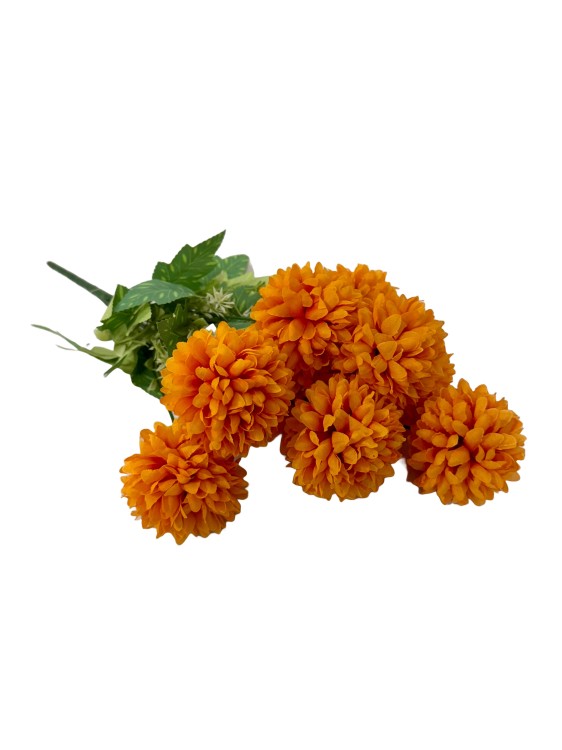 BCH795 pomarancz.jpg
