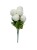 BCH795 bialy1.jpg