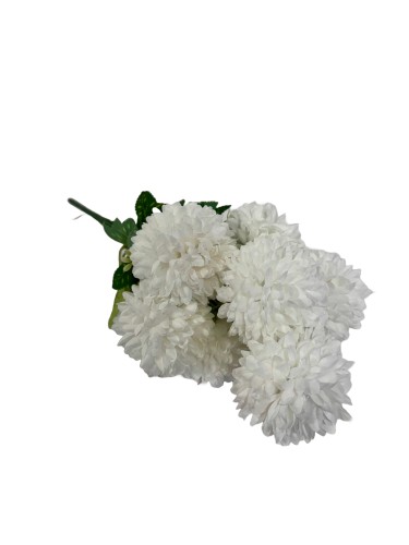 BCH795 bialy.jpg
