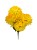 BCH58 mocny zolty2.jpg