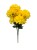 BCH58 mocny zolty1.jpg