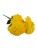 BCH58 mocny zolty.jpg