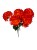 BCH58 mocny pomarancz2.jpg