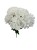 BCH58 bialy2.jpg