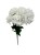 BCH58 bialy1.jpg