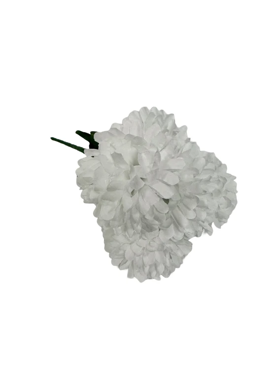 BCH58 bialy.jpg