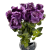 KRP183 Fioletowy (3).png