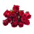KRP183 czerwona (3).png