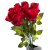 KRP183 czerwona (5).png