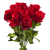 KRP183 czerwona (1).png