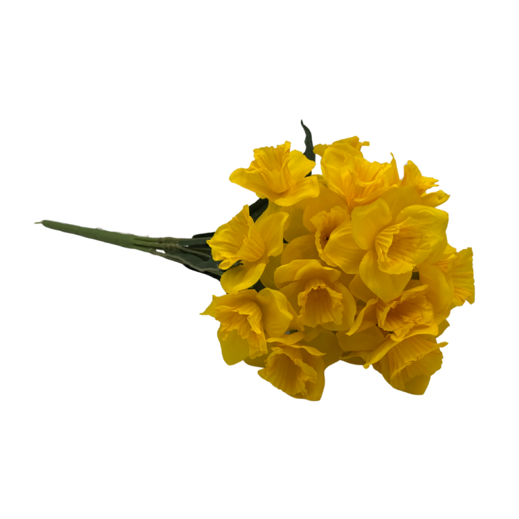 BN72 Żółty (3).png