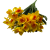BN149 żółto-pomarańczowe (1).png