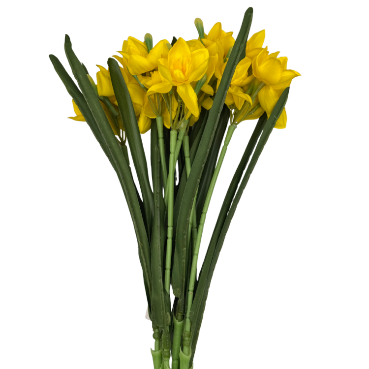 BN149 (3).png