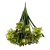 BN149 (4).png