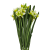 BN149 (5).png