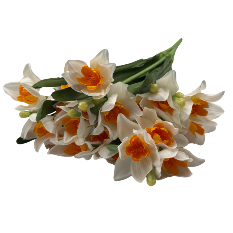 BN149 (6).png