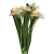 BN149 (1).png