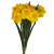 BN149 V2 (2).png