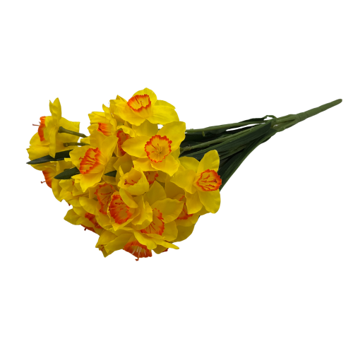 BN149 V2 (3).png