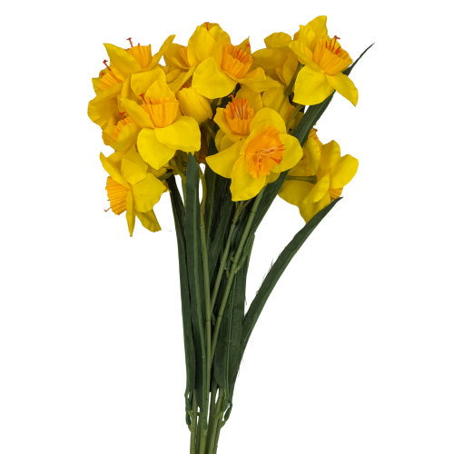 BN149 V2 (4).png