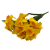 BN149 V2 (5).png