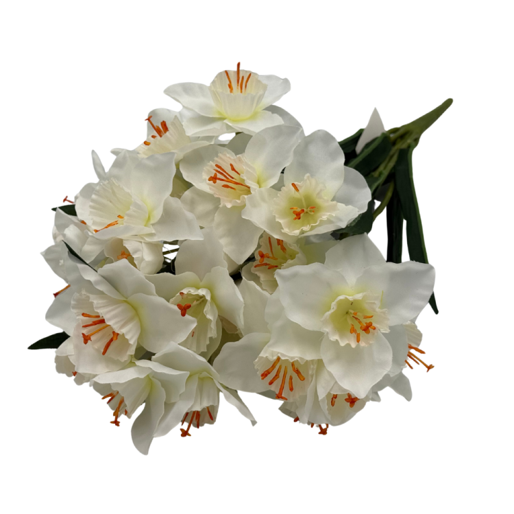 BN149 V2 (6).png