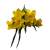 BN145 BUA8195 (2).png