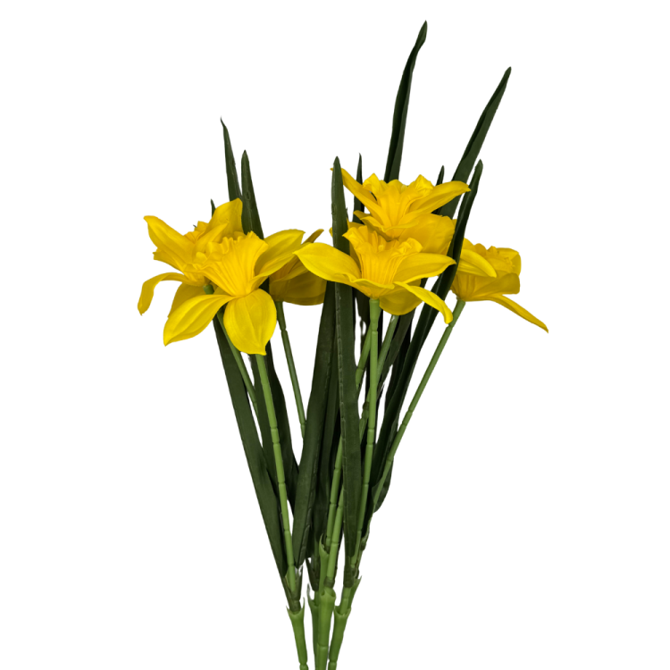 BN145 BUA8195 (3).png