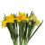 BN145 BUA8195 (1).png