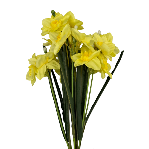 bn13 (3).png