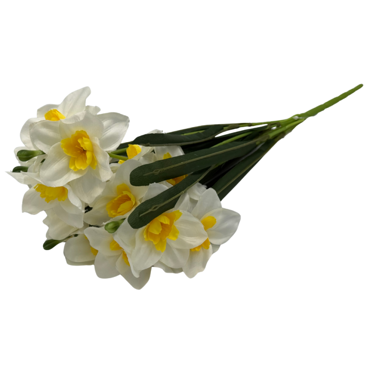 bn13 (4).png