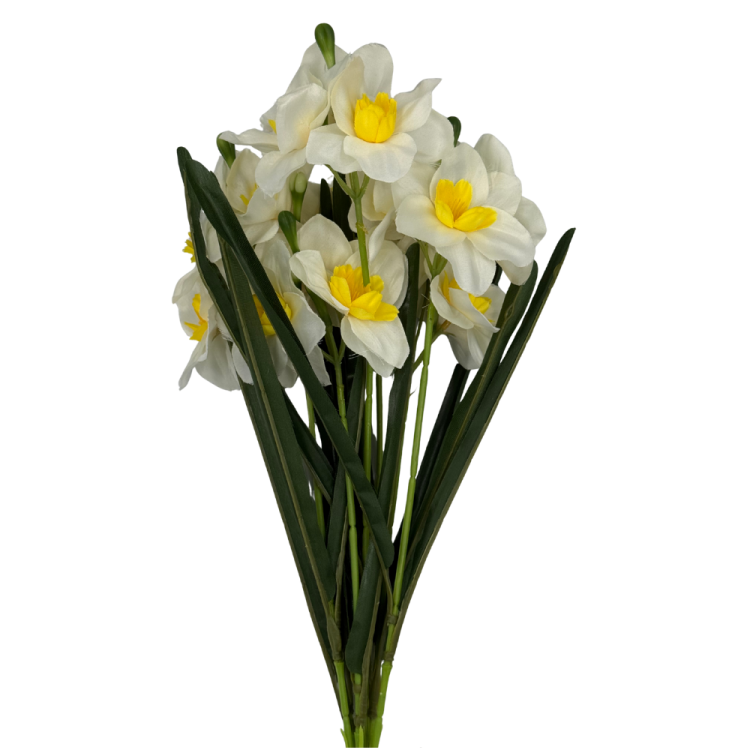 bn13 (5).png