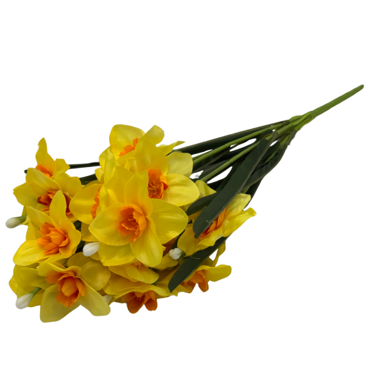 bn13 (6).png