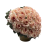 zkose-26639 r (2).png