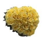 ZKOSE-26 639 Z (4).png