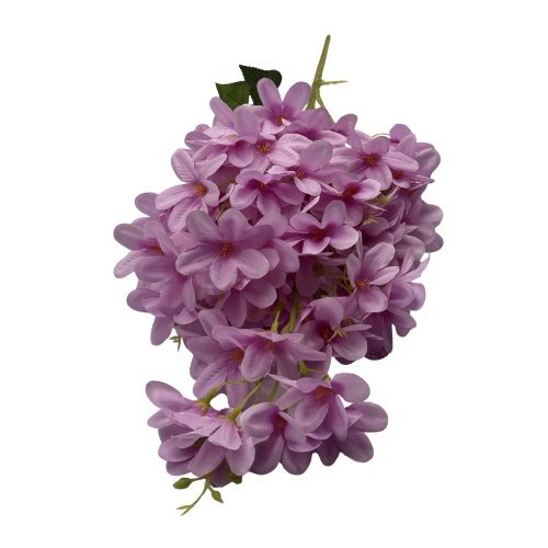KWIAT JABŁOŃ GAŁĄZKA DŁUGA (1).png