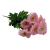 kwiat margaretka bukiet kolorowy (5).png