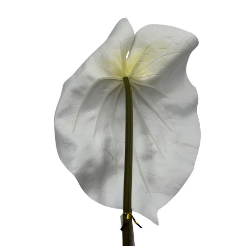 Anturium Piana dekoracyjne na łodydze 85 cm Elegancka Ozdoba do kompozycji florystycznych XL (4).png