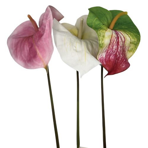Anturium Piana dekoracyjne na łodydze 85 cm Elegancka Ozdoba do kompozycji florystycznych XL (1).png