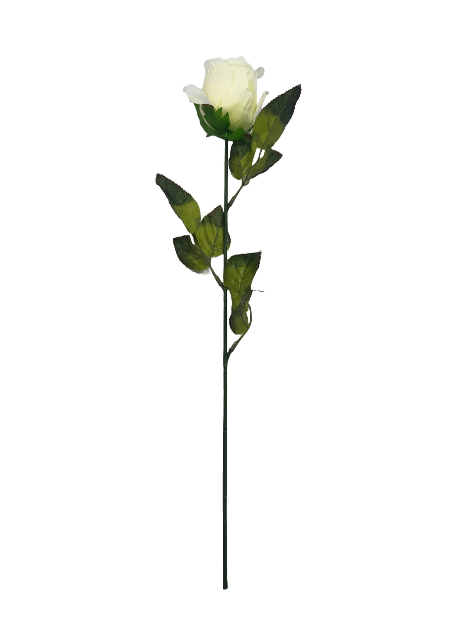 KRP183 bialy.jpg