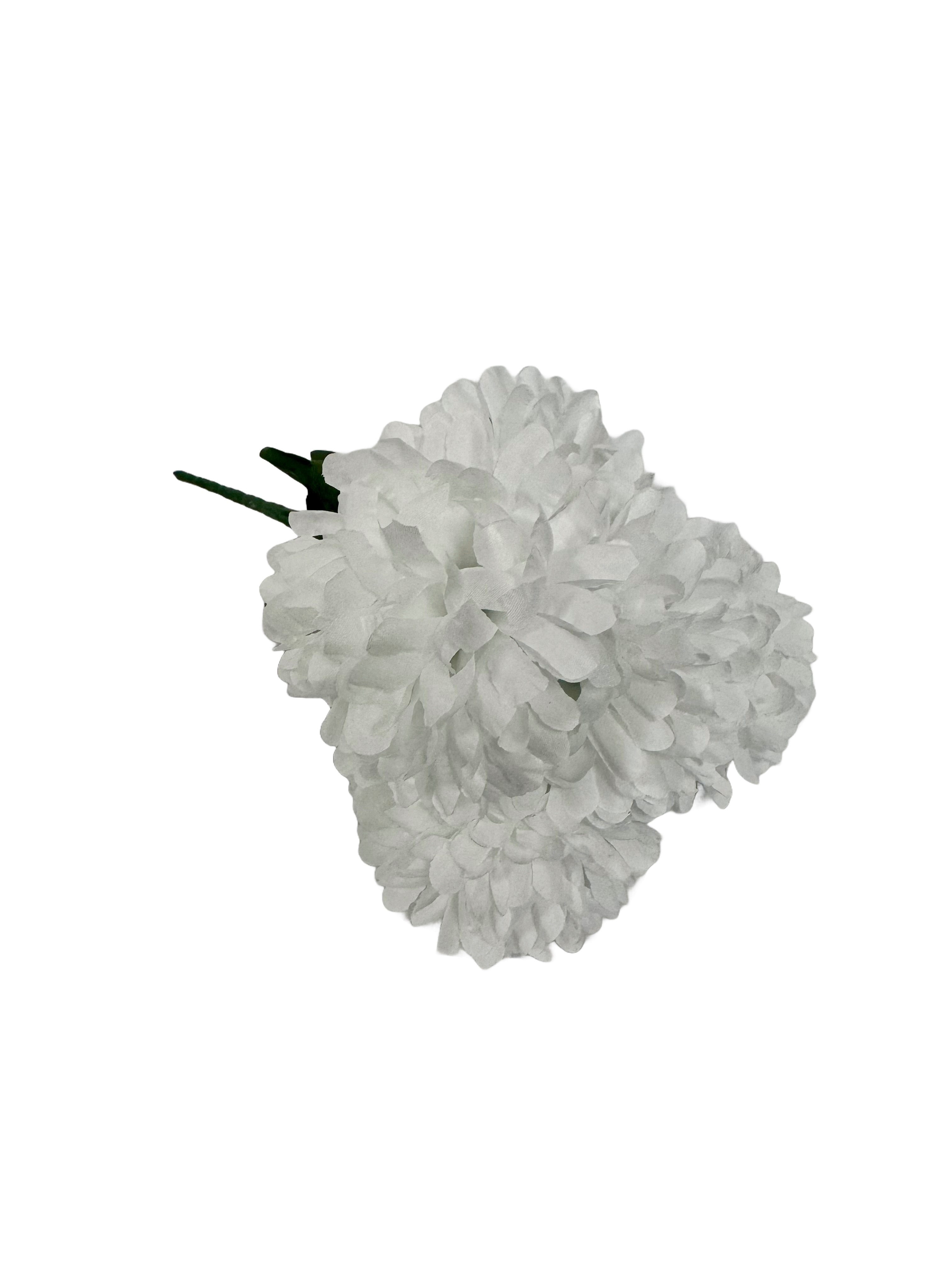 BCH58 bialy.jpg