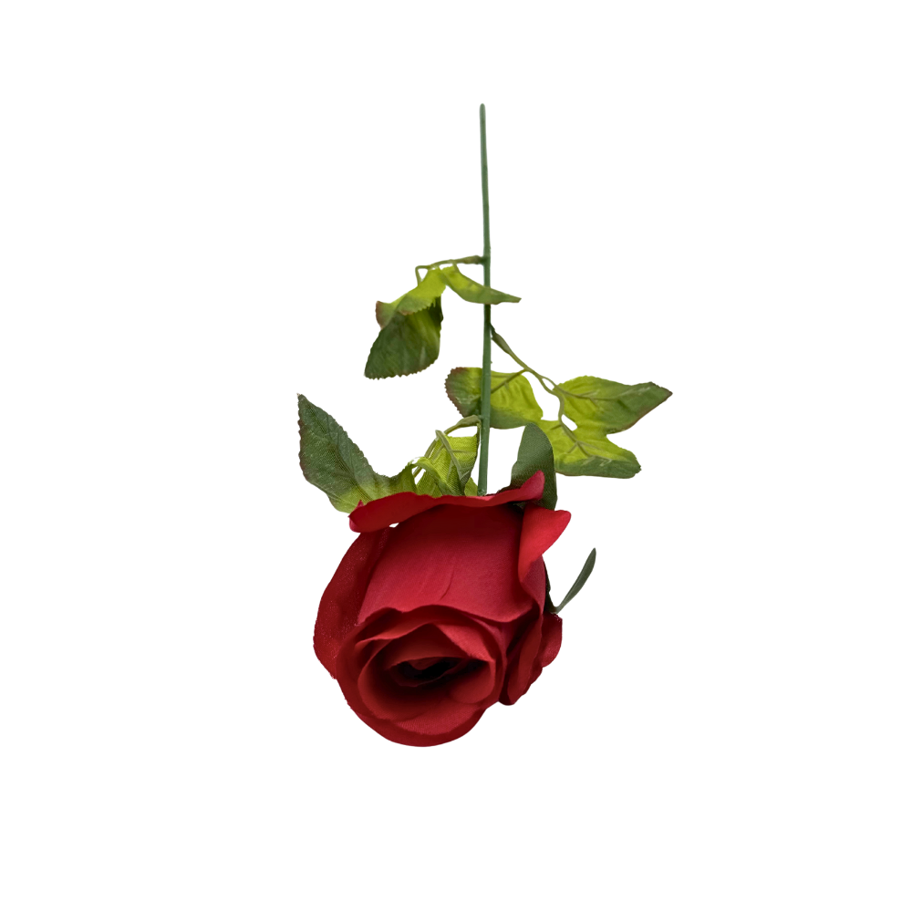 KRP183 czerwona (2).png